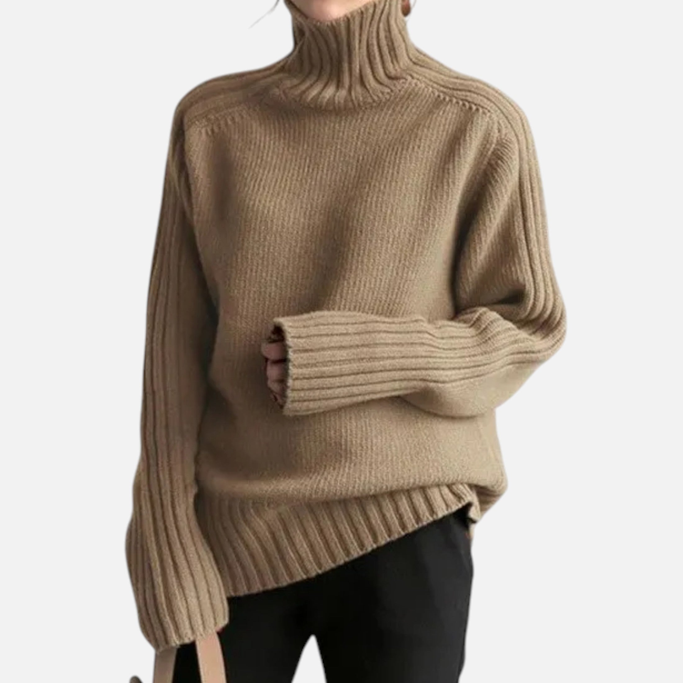 Women’s Knit Turtleneck Sweater Solid Colour Style