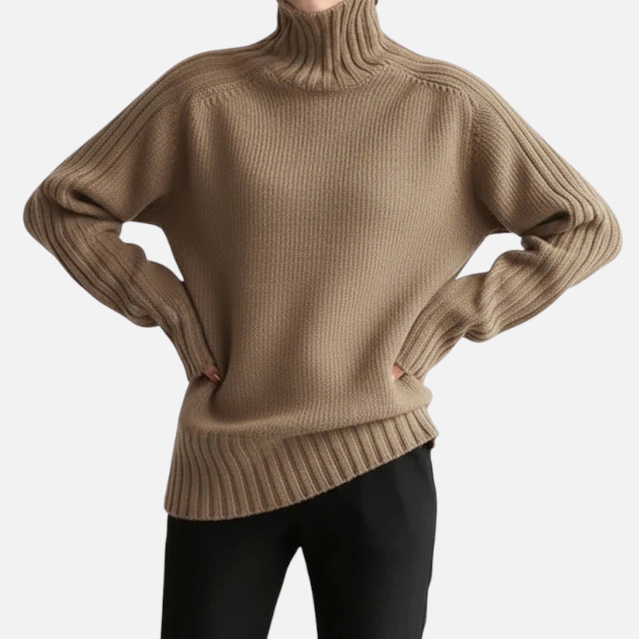 Women’s Knit Turtleneck Sweater Solid Colour Style