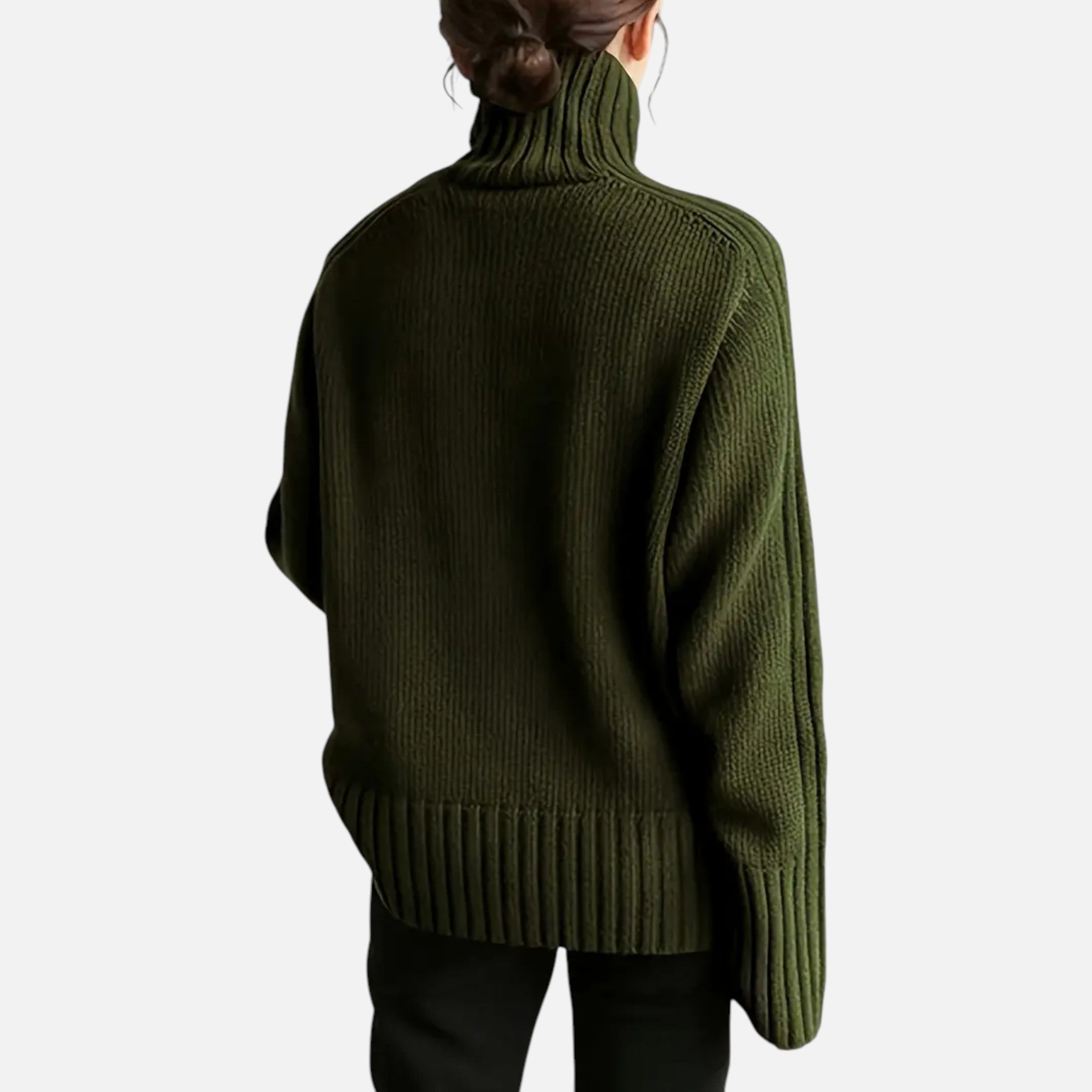 Women’s Knit Turtleneck Sweater Solid Colour Style